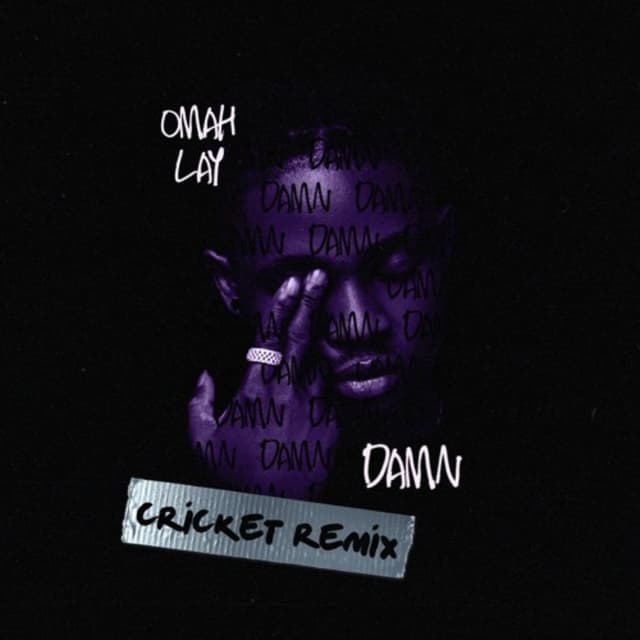 DAMN (CRICKET REMIX)
