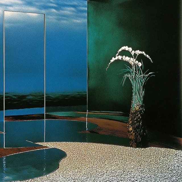 Shadowland