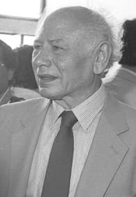 Benzion Mileikowsky