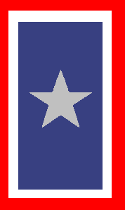 Gold Star mother
