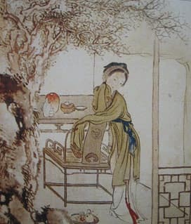 Li Wan
