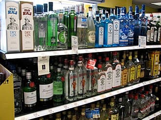 Gin