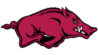 Arkansas Razorbacks