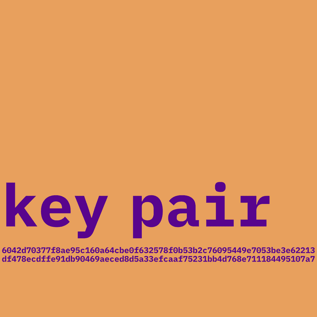Key Pair